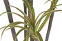 DKD Home Decor Planta Verde Marron 86 x 218 x 82 cm (2 Unidades)