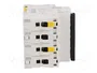 SCHNEIDER ELECTRIC iC60N Interruptor magnetotérmico 4 polos 10A B 400VAC