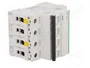 SCHNEIDER ELECTRIC iC60N Interruptor magnetotérmico 4 polos 10A B 400VAC