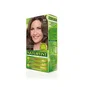 Naturtint Tinte sin Amoniaco 6N-Rubio Oscuro 170 ml