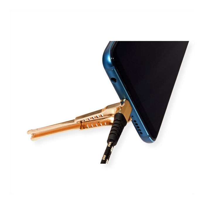 ROLINE 11.02.8920 Cable USB 2.0 USB-A a USB-C de Sincronización y Carga de 1 m, Negro/Oro ROLINE 11.02.8920 Cable USB 2.0 USB-A a USB-C de Sincronización y Carga de 1 m, Negro/Oro