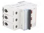 LEGRAND Interruptor magnetotérmico S300 TX 3 polos 10A C