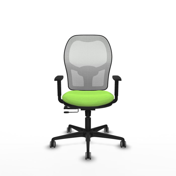 PIQUERAS Y CRESPO Silla de oficina Jorquera con mecanismo Sincro/Traslack, Pistacho y Blanco PIQUERAS Y CRESPO Silla de oficina Jorquera con mecanismo Sincro/Traslack, Pistacho y Blanco