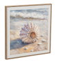 DKD Home Decor Cuadro Lienzo PS Caracolas Playa Surtido de 4 Piezas