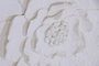 DKD Home Decor Cuadro Lienzo Papel Maché 120x120 Flor 3D Blanco
