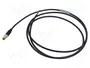 MURRELEKTRONIK Cable para sensores M8 macho recto 3 pines 1,5m