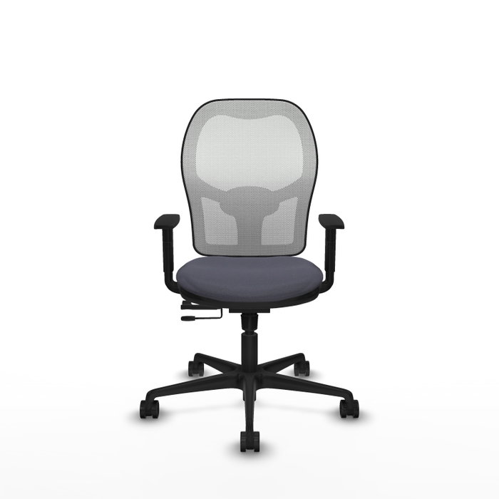 PIQUERAS Y CRESPO Silla de oficina Jorquera con mecanismo Sincro/Traslack, Gris oscuro y Blanco PIQUERAS Y CRESPO Silla de oficina Jorquera con mecanismo Sincro/Traslack, Gris oscuro y Blanco