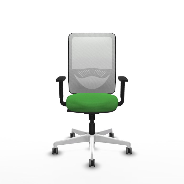 PIQUERAS Y CRESPO Silla de oficina Zulema con mecanismo Sincro, Verde y Blanco PIQUERAS Y CRESPO Silla de oficina Zulema con mecanismo Sincro, Verde y Blanco