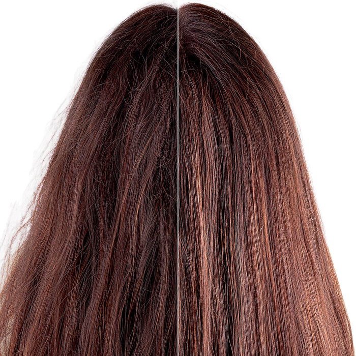 Klorane Champú Higo de Barbaria Hidratante Cabello Deshidratado 400 ml Klorane Champú Higo de Barbaria Hidratante Cabello Deshidratado 400 ml