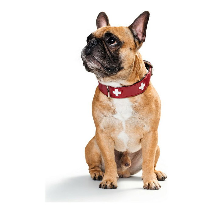 Hunter Collar Swiss Rojo/Negro 30-34.5cm