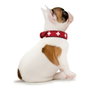 Hunter Collar Swiss Rojo/Negro 30-34.5cm