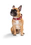 Hunter Collar Swiss 30-34.5 cm Rojo-Negro