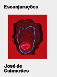Esconjurações, José de Guimarães - DOCUMENTA