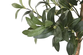 DKD Home Decor Árbol Mediterráneo Verde Poliester/PE 60 x 180 x 60 cm (2 Unidades)