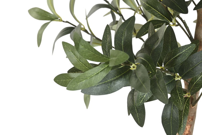 DKD Home Decor Árbol Mediterráneo Olivo Verde 60 x 60 x 180 cm (2 Unidades) DKD Home Decor Árbol Mediterráneo Olivo Verde 60 x 60 x 180 cm (2 Unidades)