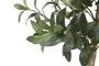 DKD Home Decor Árbol Mediterráneo Olivo Verde 60 x 60 x 180 cm (2 Unidades)