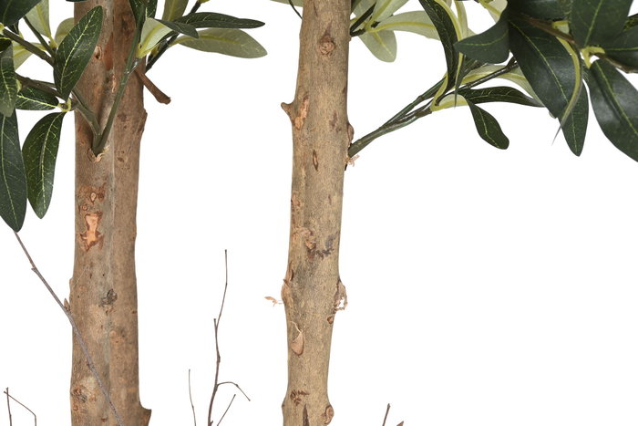 DKD Home Decor Árbol Mediterráneo Olivo Verde 60 x 60 x 180 cm (2 Unidades) DKD Home Decor Árbol Mediterráneo Olivo Verde 60 x 60 x 180 cm (2 Unidades)