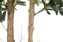 DKD Home Decor Árbol Mediterráneo Olivo Verde 60 x 60 x 180 cm (2 Unidades)