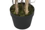 DKD Home Decor Árbol Mediterráneo Olivo Verde 60 x 60 x 180 cm (2 Unidades)
