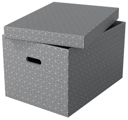 Esselte Pack de 3 Cajas de Almacenaje Grandes, Gris, 510x355x305 mm Esselte Pack de 3 Cajas de Almacenaje Grandes, Gris, 510x355x305 mm