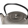 Bredemeijer Sichuan Tetera de Hierro Fundido 1,0l Champagne