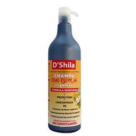 DSHILA Champu Vitaminado Ed. Escolar (Parasitos) 1L