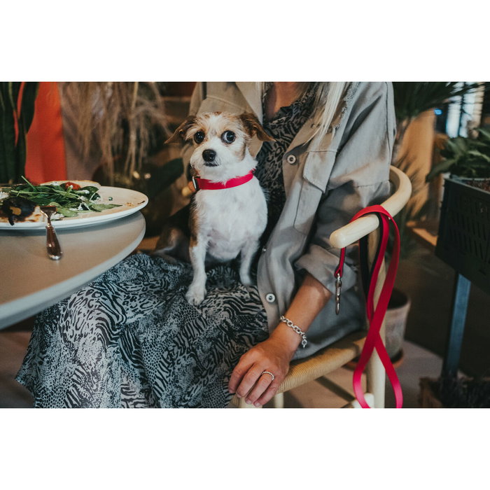 Collar para Perro Hunter Convenience 47-55 cm Fucsia L Collar para Perro Hunter Convenience 47-55 cm Fucsia L