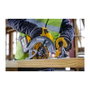 DeWalt DCS578NT-XJ Sierra Circular Portátil de 54V
