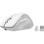 Speedlink LIBERA Ratón Inalámbrico Recargable Blanco