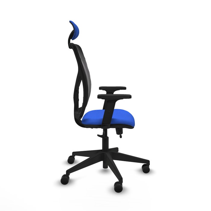 PIQUERAS Y CRESPO Silla de oficina Motilla con mecanismo Sincro/Traslack, Azul y Negro PIQUERAS Y CRESPO Silla de oficina Motilla con mecanismo Sincro/Traslack, Azul y Negro