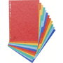 Exacompta Nature Future Separadores de Cartulina Lustrada 225 gr, A4 12 Posiciones, Set de 25, Colores