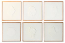 DKD Home Decor Set de 6 Cuadros de Abeto y MDF con Conchas y Acabado Enmarcado en Blanco