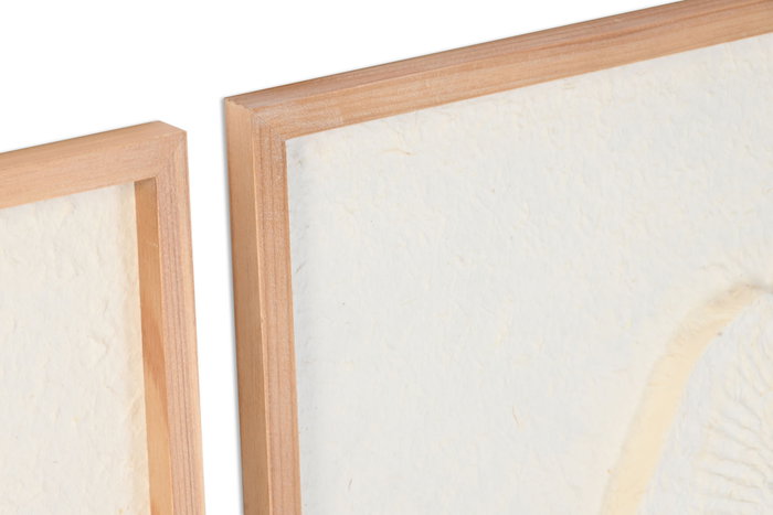 DKD Home Decor Set de 6 Cuadros de Abeto y MDF con Conchas y Acabado Enmarcado en Blanco DKD Home Decor Set de 6 Cuadros de Abeto y MDF con Conchas y Acabado Enmarcado en Blanco