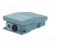 SCHNEIDER ELECTRIC Interruptor de pie Azul SPST-NO + SPST-NC