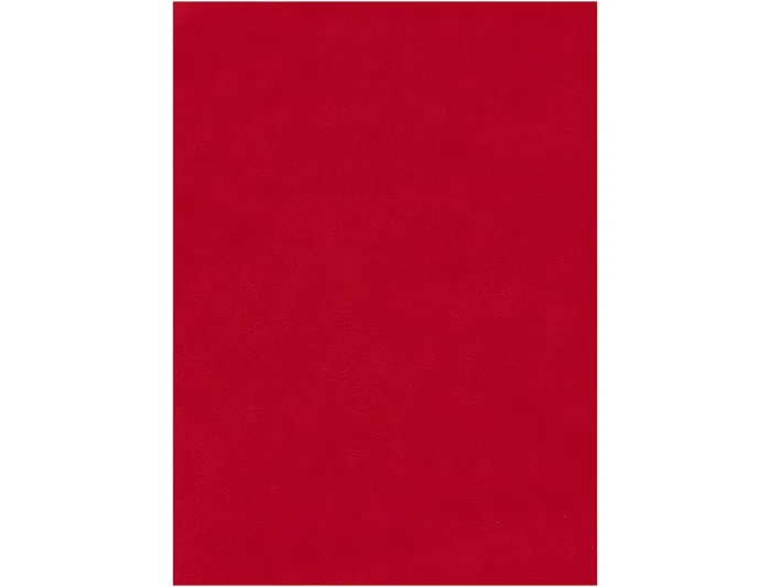 Liderpapel Fieltro Rojo 50x70cm 160g/m2 (Pack de 10)