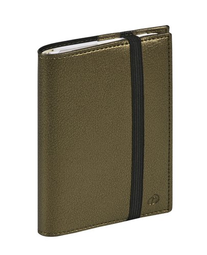 Quo Vadis Agenda Anual Time&Life Large ML Kaki Metalizado Quo Vadis Agenda Anual Time&Life Large ML Kaki Metalizado