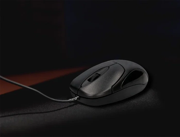 Q-connect Ratón óptico 800 DPI USB negro con cable Q-connect Ratón óptico 800 DPI USB negro con cable