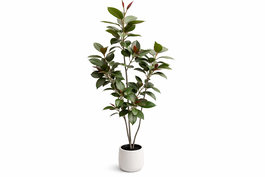 DKD Home Decor Árbol Hevea Verde 80x80x150 cm