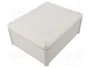 OBO BETTERMANN T 250 Caja de conexiones IP66 gris claro