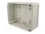OBO BETTERMANN T 250 Caja de conexiones IP66 gris claro