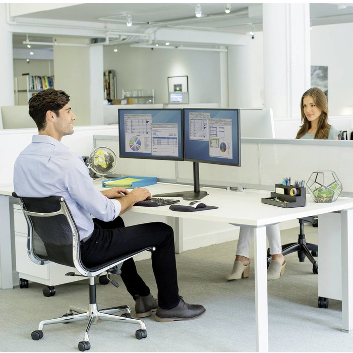 Fellowes Soporte para Monitor Doble Professional Series Negro Fellowes Soporte para Monitor Doble Professional Series Negro