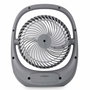 Ventilador de Sobremesa Blaupunkt AGDBLFAN010 Gris