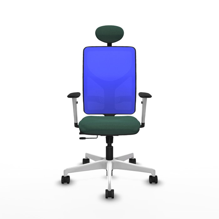PIQUERAS Y CRESPO Silla de oficina Motilla con mecanismo Sincro/Traslack, Verde botella y Azul PIQUERAS Y CRESPO Silla de oficina Motilla con mecanismo Sincro/Traslack, Verde botella y Azul
