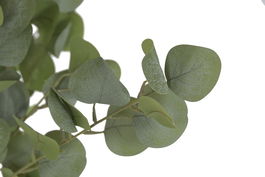 DKD Home Decor Arbol Artificial de Eucalipto en Maceta, Verde y Blanco, 50 x 178 x 50 cm, 2 Unidades, Poliéster y Cemento