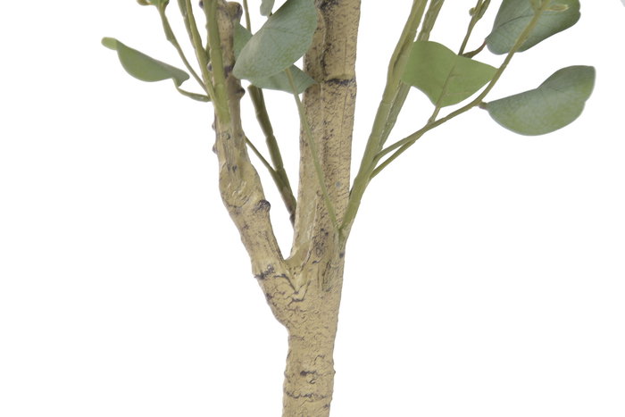 DKD Home Decor Arbol Artificial de Eucalipto en Maceta, Verde y Blanco, 50 x 178 x 50 cm, 2 Unidades, Poliéster y Cemento