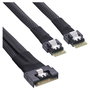 InLine 27649B Cable SlimSAS x8 SFF8654 a 2x SlimSAS x4 SFF8654 24G 75cm
