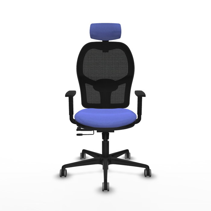 PIQUERAS Y CRESPO Silla de oficina Jorquera con mecanismo Sincro/Traslack, Azul claro y Negro PIQUERAS Y CRESPO Silla de oficina Jorquera con mecanismo Sincro/Traslack, Azul claro y Negro