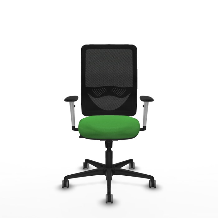PIQUERAS Y CRESPO Silla de oficina Zulema con mecanismo Sincro, Verde y Negro PIQUERAS Y CRESPO Silla de oficina Zulema con mecanismo Sincro, Verde y Negro