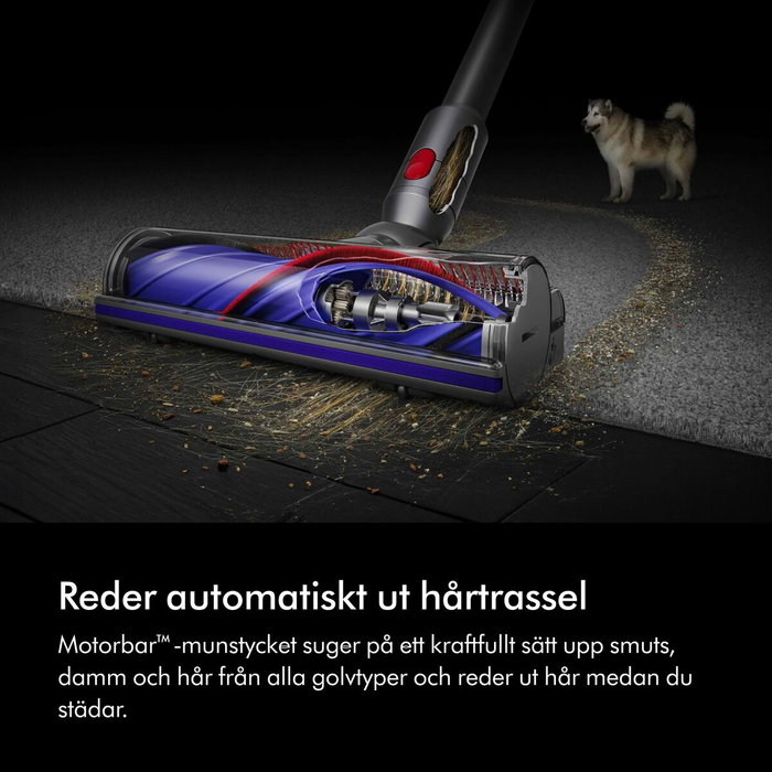 Dyson V8 Advanced Aspiradora de Escoba Plata/Níquel