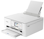 Canon PIXMA TS7650i Blanco